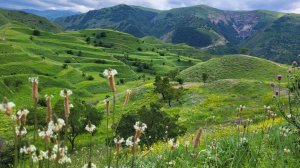 Семейный лагерь Дербент