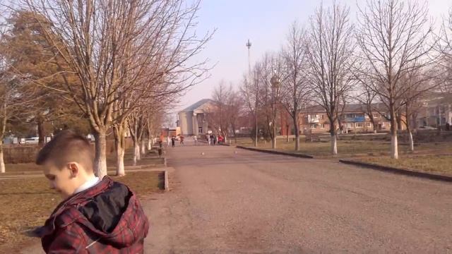 Стадо баранов смотреть онлайн