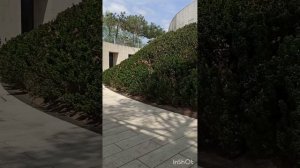 Парк Галицкого в Краснодаре глазами Волшебницы