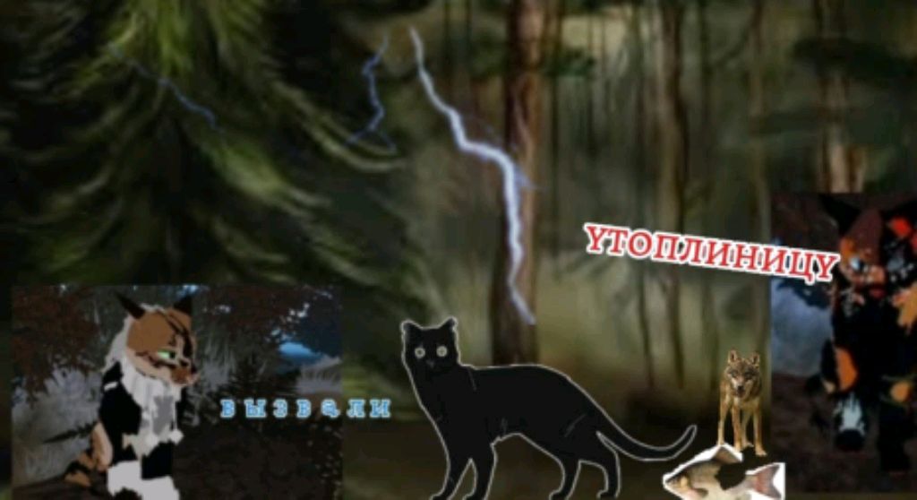 разговоры о куда я пропала