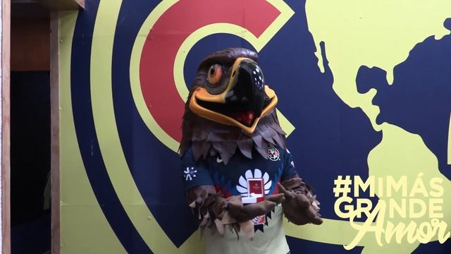 AGUI propone matrimonio en el Estadio Azteca #MiMásGrandeAmor смотреть онлайн