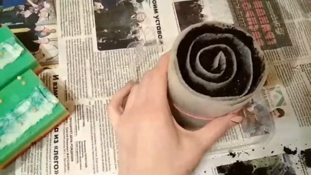 Проращивание семян перцев