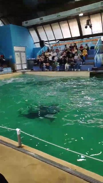 21 октября 2023 г. смотреть онлайн