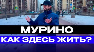 Мурино - как жить здесь???