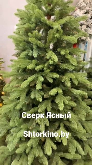 Ель комбинированная Сверк Ясный смотреть онлайн