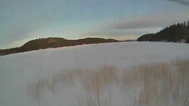 align trex 450 fpv смотреть онлайн