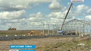 Животноводческий комплекс Русское Поле Вести Новосибирск