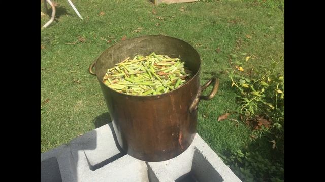 How to make sorghum syrup without a press, and be depressed... смотреть онлайн