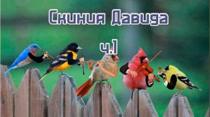 Скиния Давида ч.1