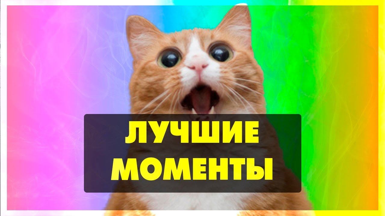 ЛУЧШИЕ МОМЕНТЫ СО СТРИМА 79