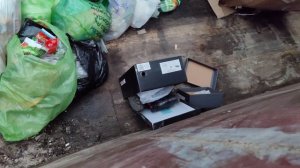 находки на помойке Санкт-Петербурга