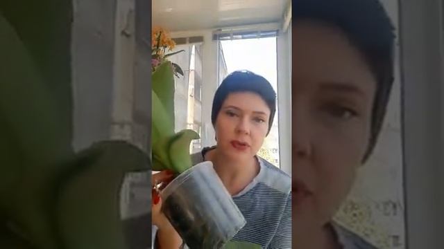 Приглашение на Эфир 2 мая 2020 года
