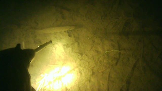 Подводная охота. Не большая щука. смотреть онлайн