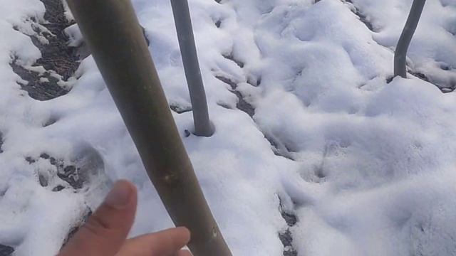 Казахстан🌴💸💸 Астана Тожикистон Кыргызстан Тошкенте Павловния ФТЕ и М1 😱 Акция до 31 декабря смотреть онлайн