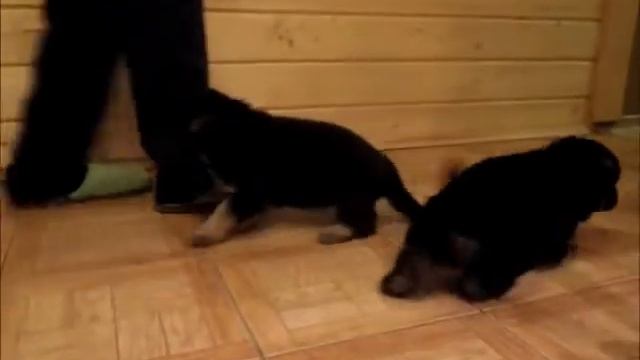 Эго и Эрос смотреть онлайн