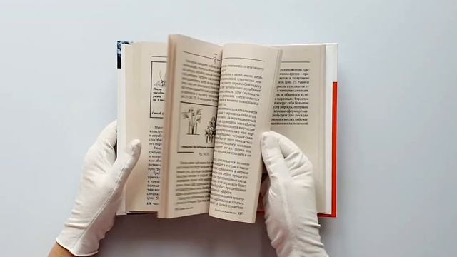 Виноград, голубика, малина, смородина, ирга и другие любимые ягоды смотреть онлайн