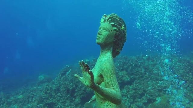 Visiting Mermaid Amphitrite at Sunset House, Grand Cayman смотреть онлайн