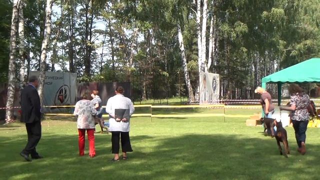 00048.MTS смотреть онлайн