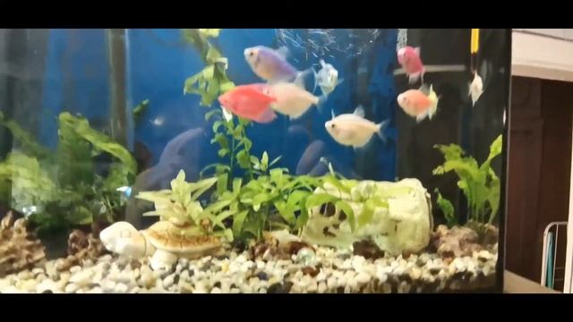 04.11.2019 смотреть онлайн