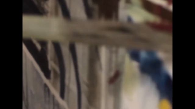 Cold & Mumbling BASEMENT Group смотреть онлайн