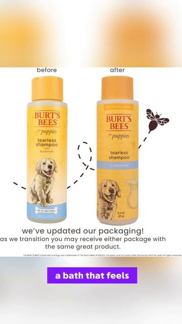 Gentle Bath Time Bliss: Burt's Bees Natural Tearless Puppy Shampoo Review смотреть онлайн
