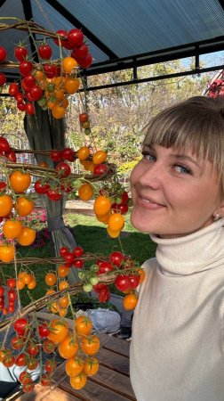375. Калейдоскоп красок
