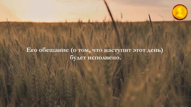 Умар Хишам Аль Араби Аль-Муззаммиль (Закутавшийся) смотреть онлайн