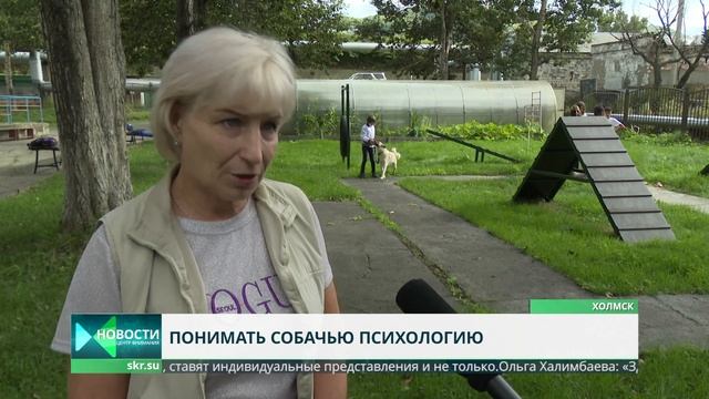 В Холмске подростков обучают навыкам дрессировки смотреть онлайн