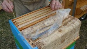 16 апреля и я ставлю первые магазины. Часть 2.