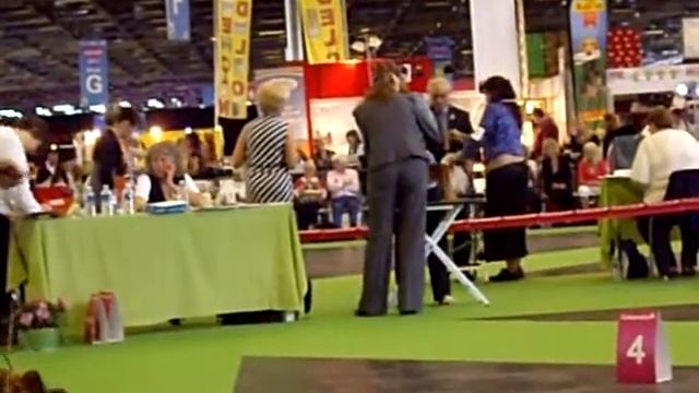 ЧЕМПИОН ФРАНЦИИ-2011. Власть Огня Эдельвейс.