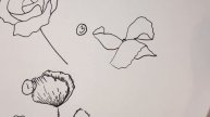 Step-By-Step Watercolor Tutorials Day 1: Poppies