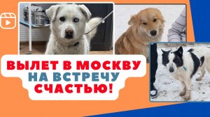 Второй вылет подряд - осилим!?