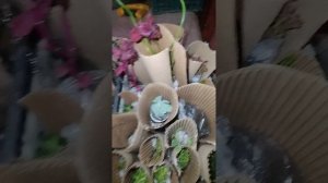 22 новинки !!!! Пришли черенки!!!