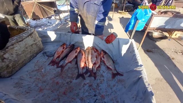 ТУРТКУЛЬ БАЛИК БОЗОРИ 25 Январь 2022 г смотреть онлайн