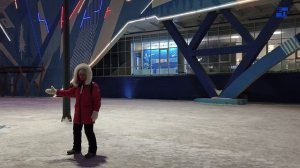 Айка - медведица, которую до сих пор любят в Норильске