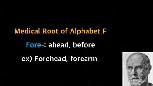 [Hippo] what is the medical root of the alphabet F?? смотреть онлайн
