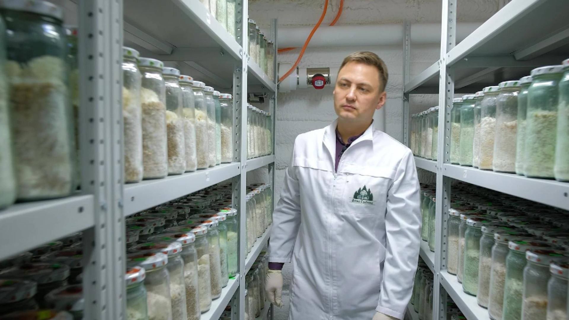 Эко ферма Лавка Грибника превью для сайта lavkagribnika.ru главная страница смотреть онлайн