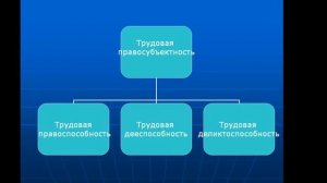 Субъекты трудового права