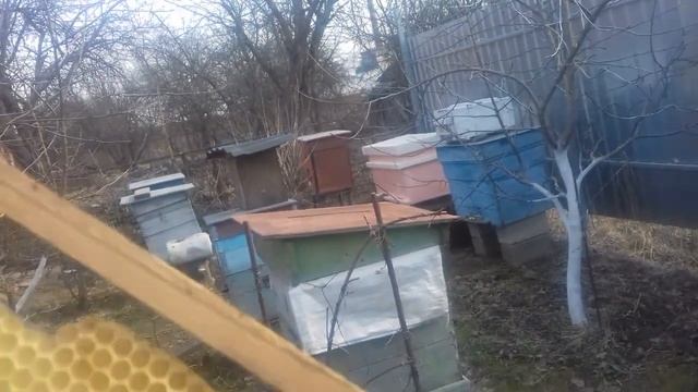 отстройка вощины смотреть онлайн