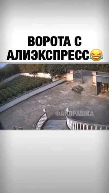 Ворота с алиэкспрес бешеный кабан 🐗 смотреть онлайн