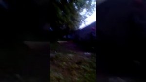 Орёл и решка город Калининград