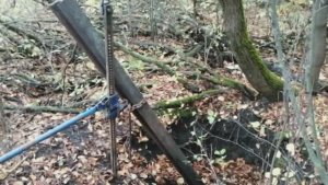 Неожиданная находка в лесу!!!