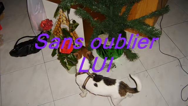 Dédicasse a ma chérie смотреть онлайн