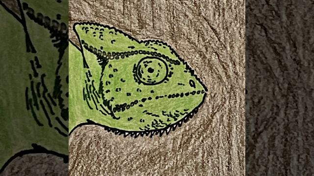 The Chameleon смотреть онлайн
