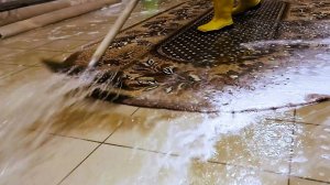 Stas's hard work has a great result: oval carpet has transformed to fresh! Before-after at the end