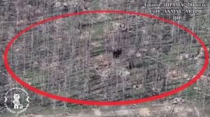 Апти Алаудинов "АХМАТ". Работа взвода огневого поражения группы «ШРАМА»