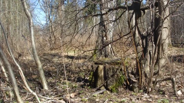 Май 1, 2013 смотреть онлайн