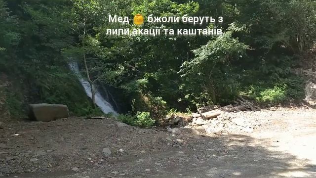 Пригоди Тигра в горах Грузії. День 2 смотреть онлайн