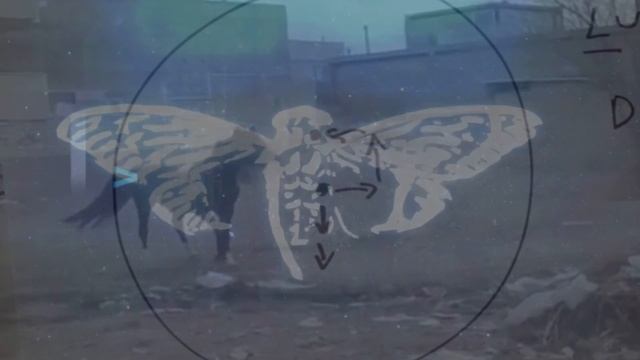 Like a Shallow Orchard смотреть онлайн