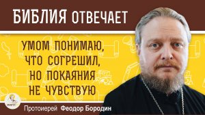 УМОМ ПОНИМАЮ, ЧТО СОГРЕШИЛ, НО ПОКАЯНИЯ НЕ ЧУВСТВУЮ. Протоиерей Феодор Бородин